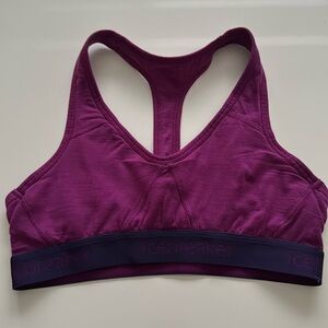 Icebreaker Workout Bra